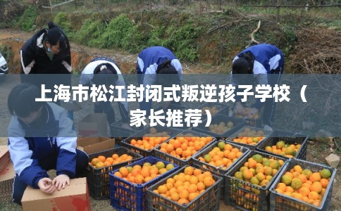 上海市松江封闭式叛逆孩子学校(家长推荐) 上海市松江封闭式叛逆孩子学校(家长推荐)