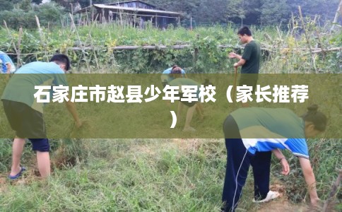 石家庄市赵县少年军校(家长推荐) 石家庄市赵县少年军校(家长推荐)