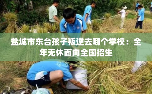 盐城市东台孩子叛逆去哪个学校：全年无休面向全国招生