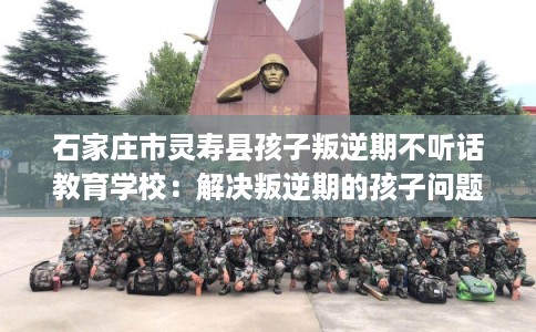 石家庄市灵寿县孩子叛逆期不听话教育学校：解决叛逆期的孩子问题