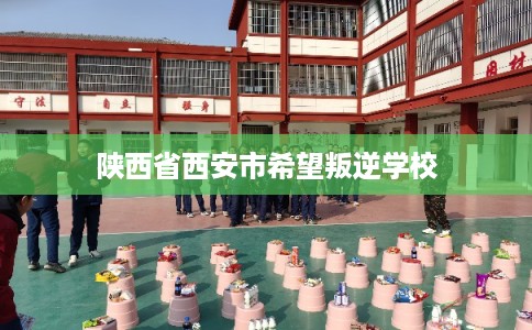 陕西省西安市希望叛逆学校 陕西省西安市希望叛逆学校