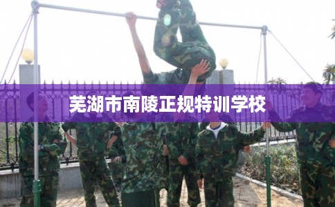 芜湖市南陵正规特训学校