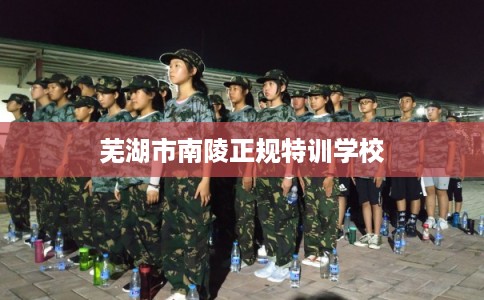 芜湖市南陵正规特训学校