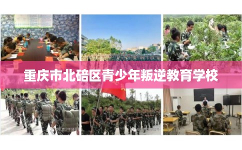 重庆市北碚区青少年叛逆教育学校 重庆市北碚区青少年叛逆教育学校