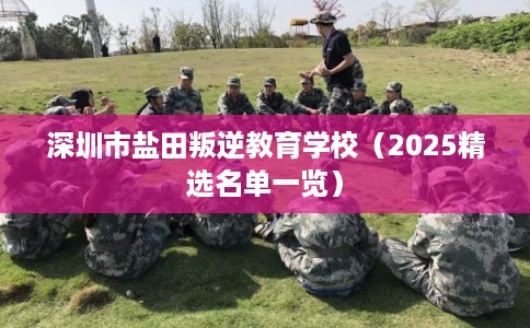 深圳市盐田叛逆教育学校（2025精选名单一览）