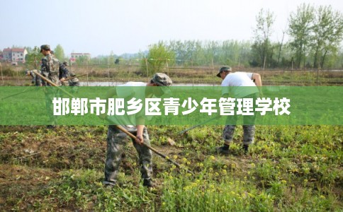 邯郸市肥乡区青少年管理学校