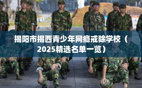 揭阳市揭西青少年网瘾戒除学校（2025精选名单一览）