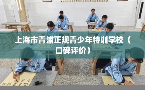上海市青浦正规青少年特训学校（口碑评价）