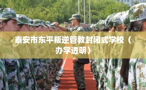 泰安市东平叛逆管教封闭式学校（办学透明）