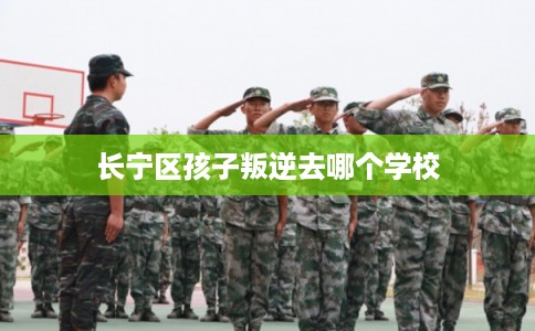 长宁区孩子叛逆去哪个学校