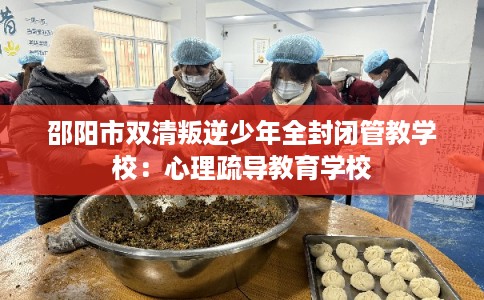 邵阳市双清叛逆少年全封闭管教学校：心理疏导教育学校
