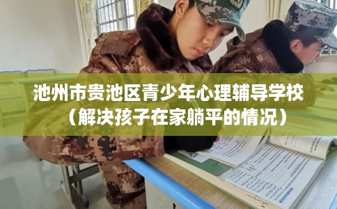 池州市贵池区青少年心理辅导学校（解决孩子在家躺平的情况）