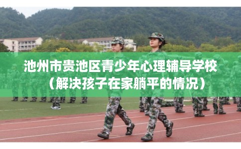 池州市贵池区青少年心理辅导学校（解决孩子在家躺平的情况）