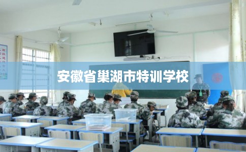 安徽省巢湖市特训学校