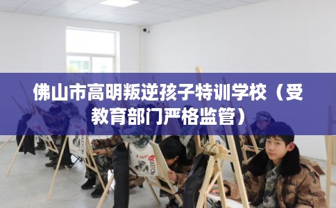 佛山市高明叛逆孩子特训学校（受教育部门严格监管）