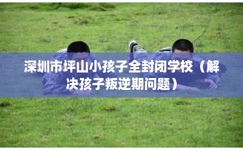 深圳市坪山小孩子全封闭学校(解决孩子叛逆期问题) 深圳市坪山小孩子全封闭学校(解决孩子叛逆期问题)