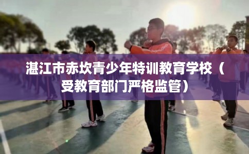 湛江市赤坎青少年特训教育学校（受教育部门严格监管）