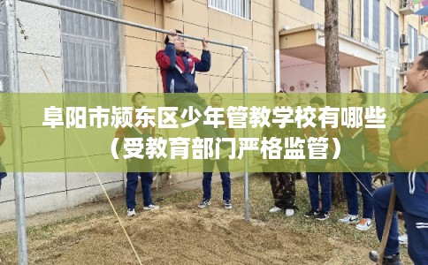 阜阳市颍东区少年管教学校有哪些(受教育部门严格监管) 阜阳市颍东区少年管教学校有哪些(受教育部门严格监管)