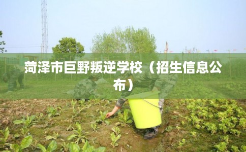 菏泽市巨野叛逆学校(招生信息公布) 菏泽市巨野叛逆学校(招生信息公布)