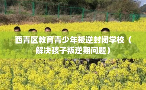西青区教育青少年叛逆封闭学校(解决孩子叛逆期问题) 西青区教育青少年叛逆封闭学校(解决孩子叛逆期问题)