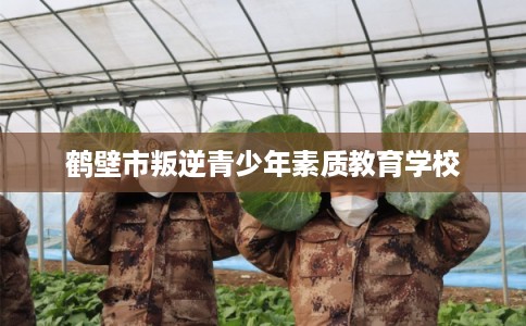 鹤壁市叛逆青少年素质教育学校 鹤壁市叛逆青少年素质教育学校