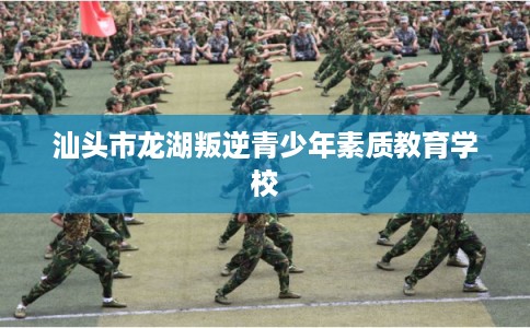 汕头市龙湖叛逆青少年素质教育学校