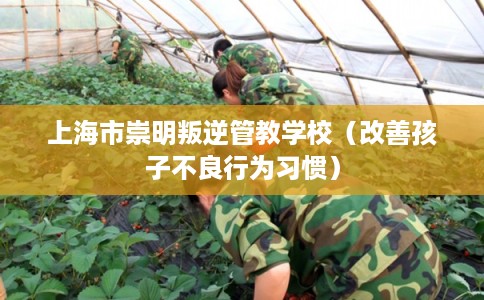 上海市崇明叛逆管教学校（改善孩子不良行为习惯）