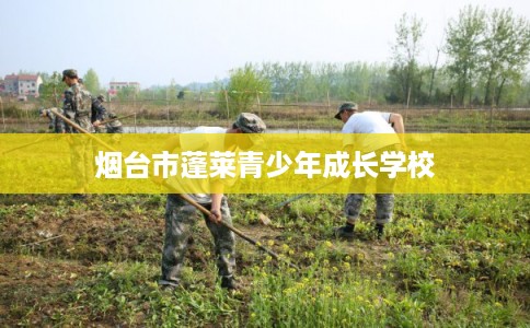 烟台市蓬莱青少年成长学校 烟台市蓬莱青少年成长学校