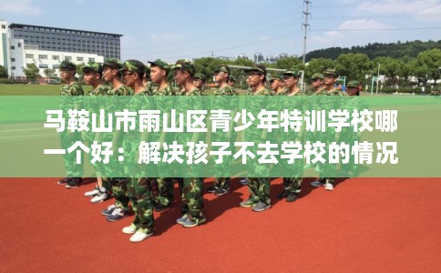 马鞍山市雨山区青少年特训学校哪一个好：解决孩子不去学校的情况