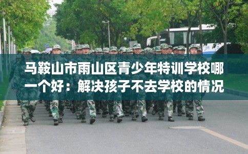 马鞍山市雨山区青少年特训学校哪一个好：解决孩子不去学校的情况