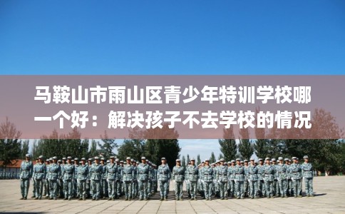 马鞍山市雨山区青少年特训学校哪一个好：解决孩子不去学校的情况