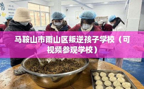 马鞍山市雨山区叛逆孩子学校（可视频参观学校）