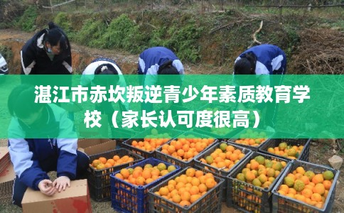 湛江市赤坎叛逆青少年素质教育学校(家长认可度很高) 湛江市赤坎叛逆青少年素质教育学校(家长认可度很高)