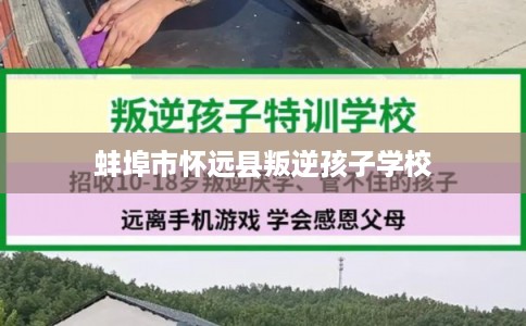 蚌埠市怀远县叛逆孩子学校 蚌埠市怀远县叛逆孩子学校