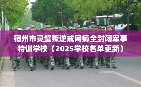 宿州市灵璧叛逆戒网瘾全封闭军事特训学校(2025学校名单更新) 宿州市灵璧叛逆戒网瘾全封闭军事特训学校(2025学校名单更新)