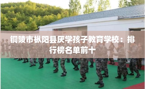 铜陵市枞阳县厌学孩子教育学校:排行榜名单前十 铜陵市枞阳县厌学孩子教育学校:排行榜名单前十