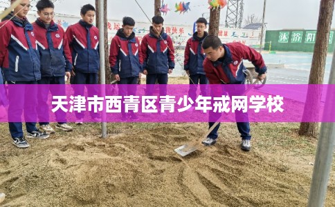 天津市西青区青少年戒网学校 天津市西青区青少年戒网学校