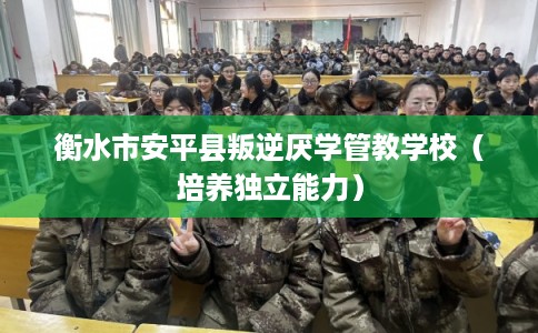 衡水市安平县叛逆厌学管教学校(培养独立能力) 衡水市安平县叛逆厌学管教学校(培养独立能力)