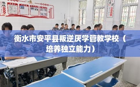 衡水市安平县叛逆厌学管教学校(培养独立能力) 衡水市安平县叛逆厌学管教学校(培养独立能力)