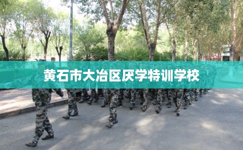 黄石市大冶区厌学特训学校 黄石市大冶区厌学特训学校