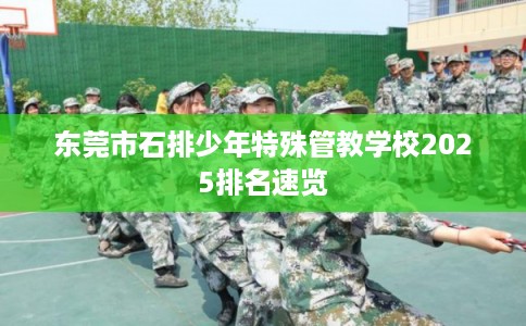 东莞市石排少年特殊管教学校2025排名速览 东莞市石排少年特殊管教学校2025排名速览