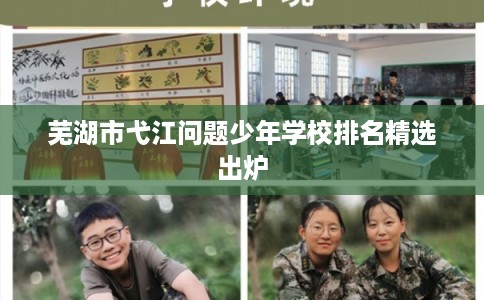 芜湖市弋江问题少年学校排名精选出炉 芜湖市弋江问题少年学校排名精选出炉
