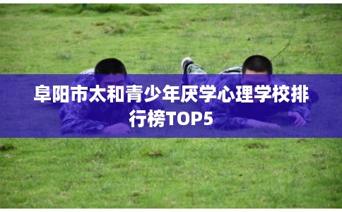 阜阳市太和青少年厌学心理学校排行榜TOP5