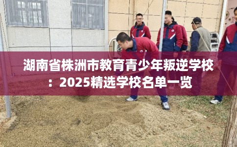 湖南省株洲市教育青少年叛逆学校:2025精选学校名单一览 湖南省株洲市教育青少年叛逆学校:2025精选学校名单一览