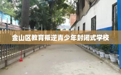 金山区教育叛逆青少年封闭式学校