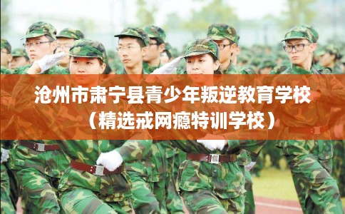 沧州市肃宁县青少年叛逆教育学校(精选戒网瘾特训学校) 沧州市肃宁县青少年叛逆教育学校(精选戒网瘾特训学校)