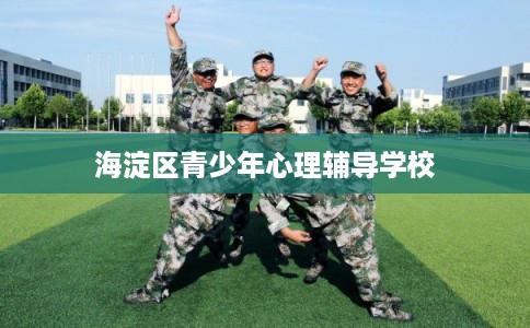 海淀区青少年心理辅导学校 海淀区青少年心理辅导学校