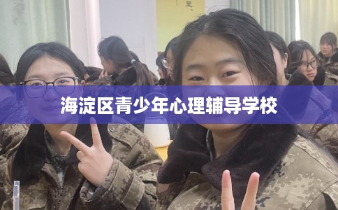 海淀区青少年心理辅导学校 海淀区青少年心理辅导学校