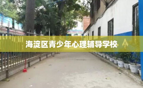 海淀区青少年心理辅导学校 海淀区青少年心理辅导学校