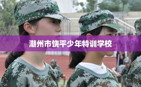 潮州市饶平少年特训学校 潮州市饶平少年特训学校